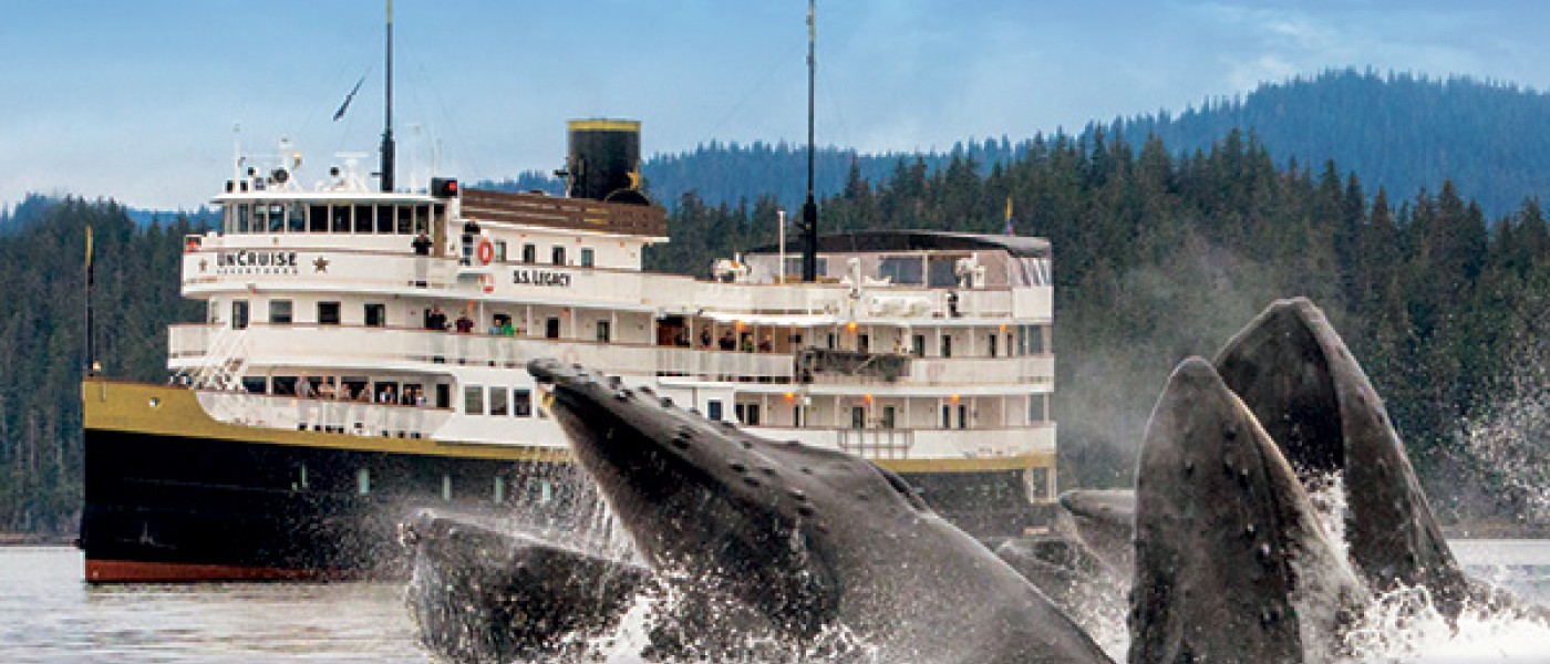 Alaska's Inside Passage & San Juans Cruise Trusted Adventures